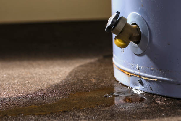  Quail Creek, TX Water damage restoration Pros