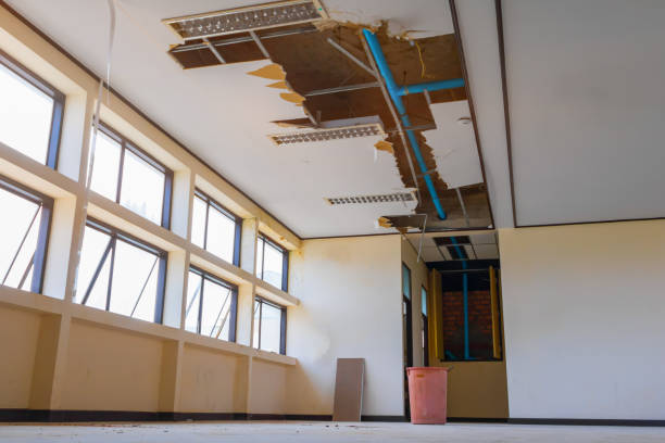 Best Flood damage cleanup  in Quail Creek, TX