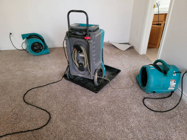 Best Commercial water damage restoration  in Quail Creek, TX