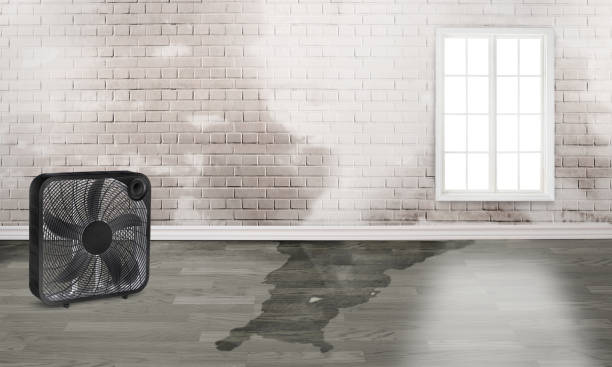 Water damage restoration insurance claims in Quail Creek, TX