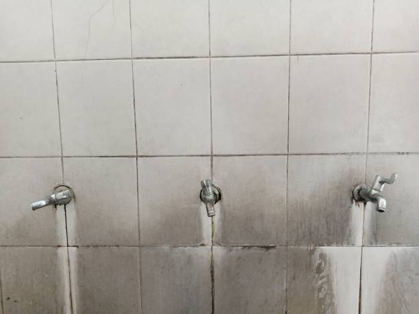 Best Flooded house restoration  in Quail Creek, TX
