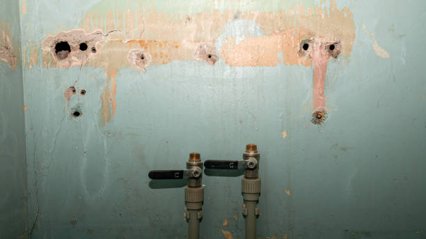 Best Commercial water damage restoration  in Quail Creek, TX