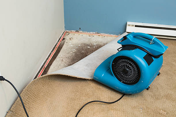 Best Water damage restoration near me  in Quail Creek, TX